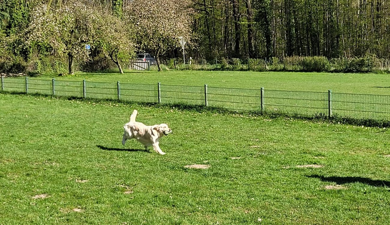 Training