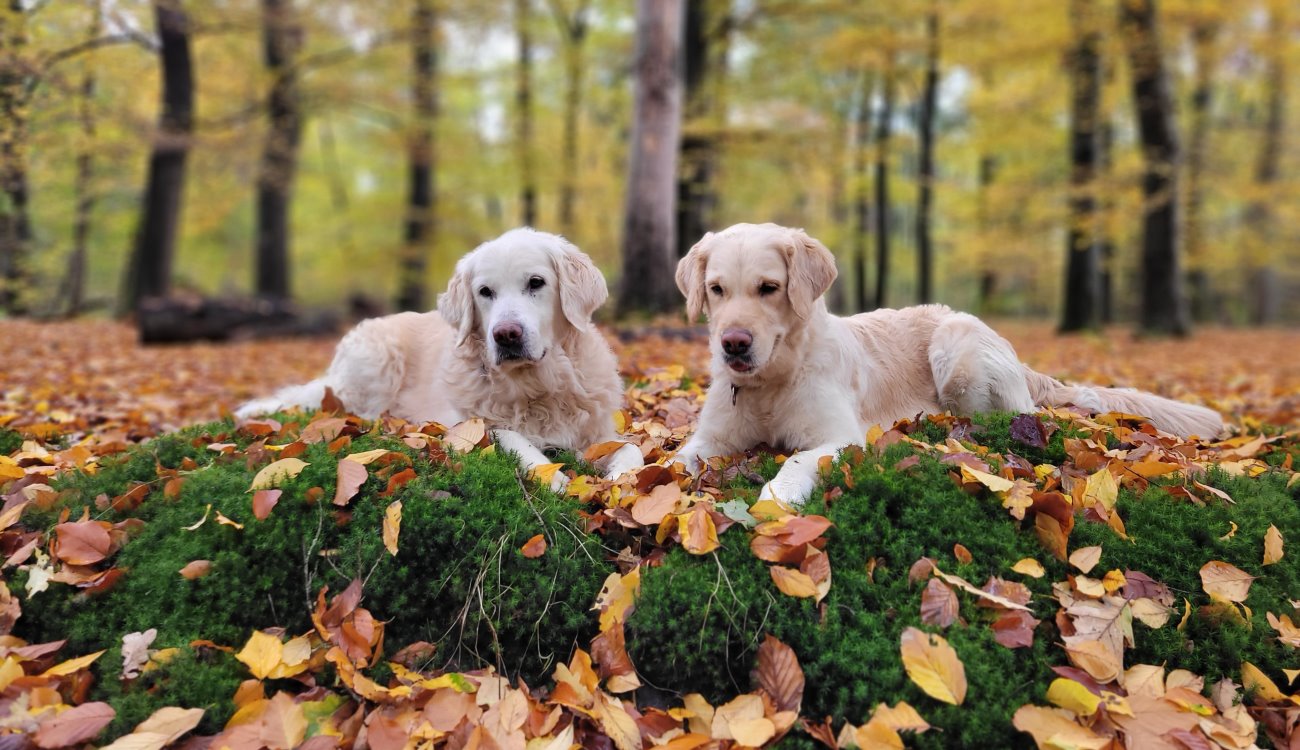 Update zum Jahresende