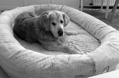 Abschied von Marley