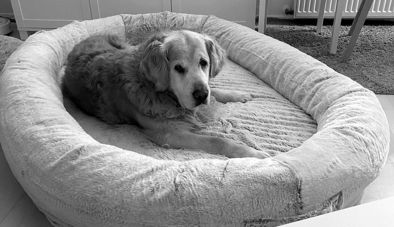 Abschied von Marley