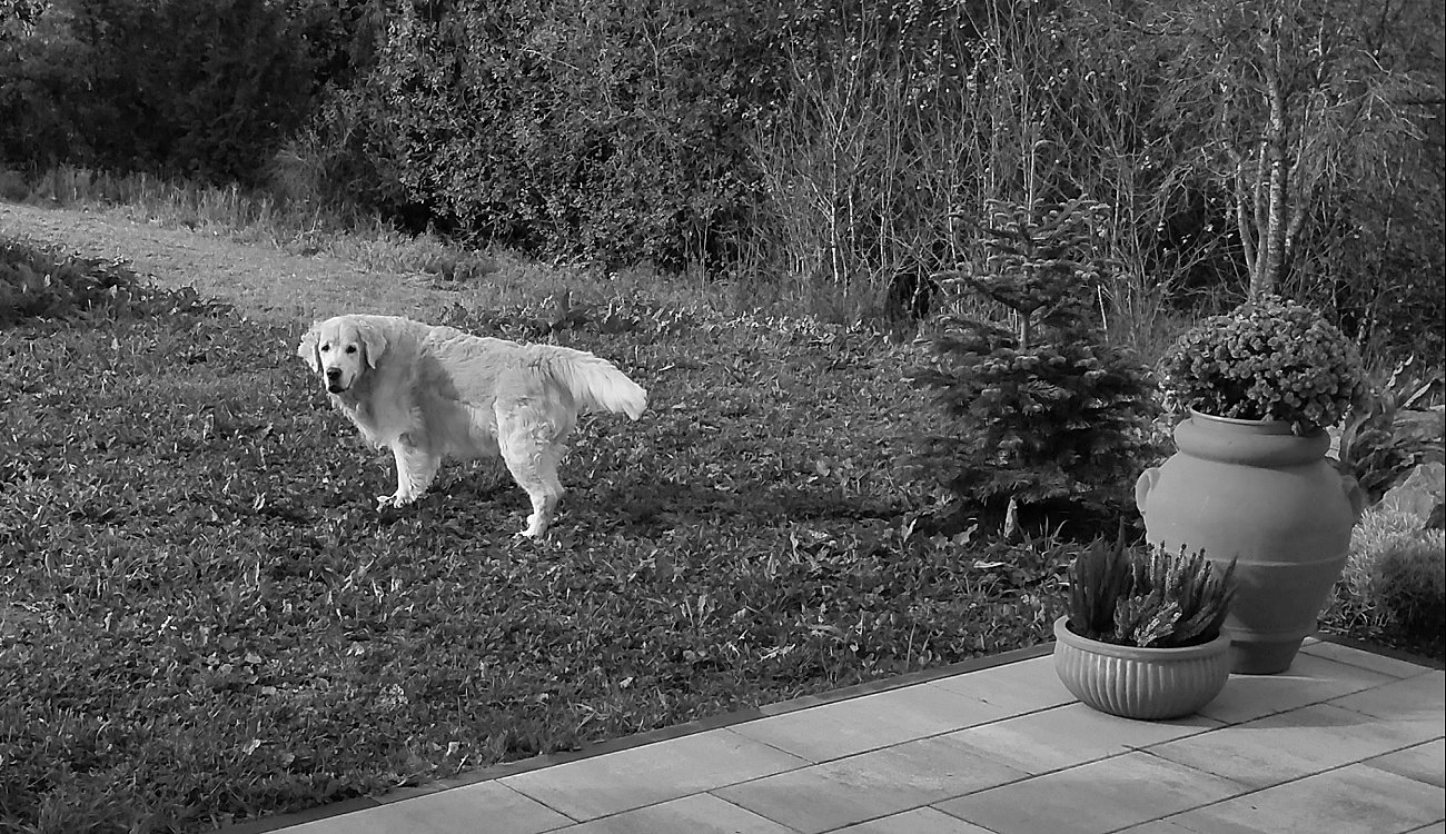 Abschied von Marlo
