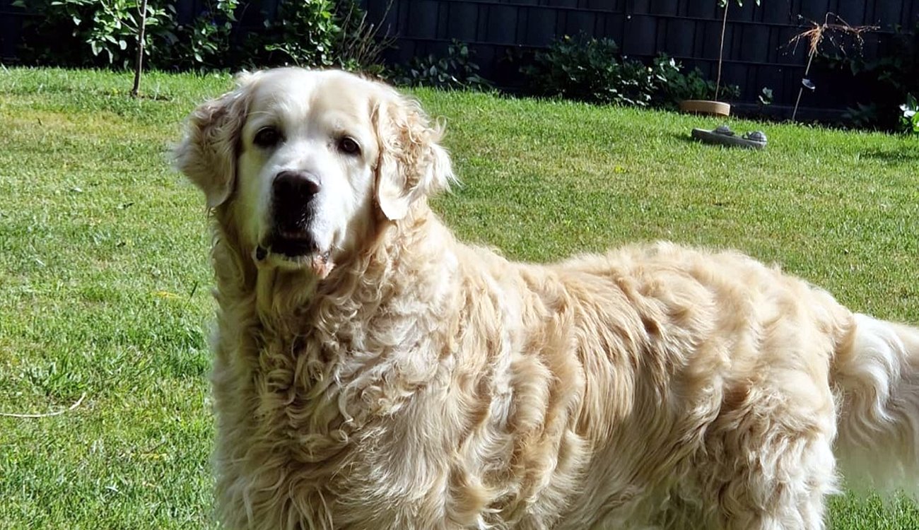 Grüße von Mylo