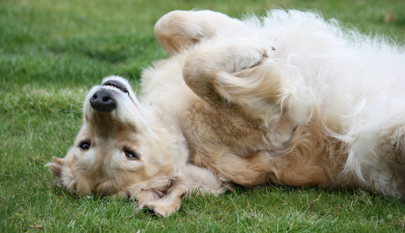 2 Jahre ohne dich …