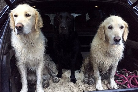 Amy mit Lilli und Jack