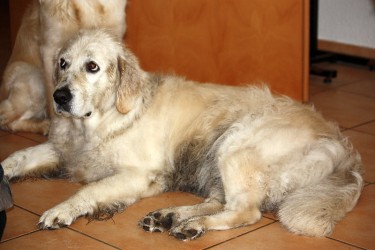 Jula kann auch dreckig :-)