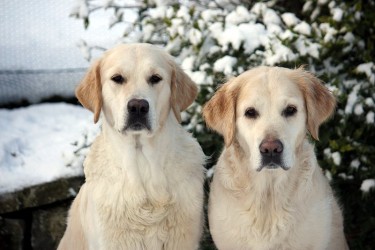 Nahla mit Mama Kelly