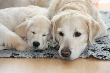 Nahla mit Mama Kelly