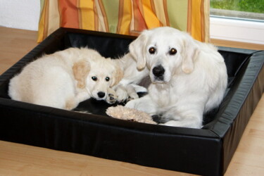 Smilla mit Mama Jula