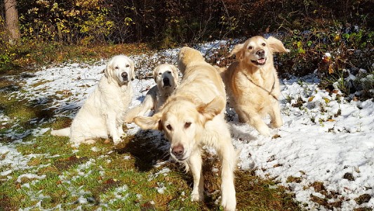 So, jetzt ist aber auch gut mit der ollen Knipserei ...