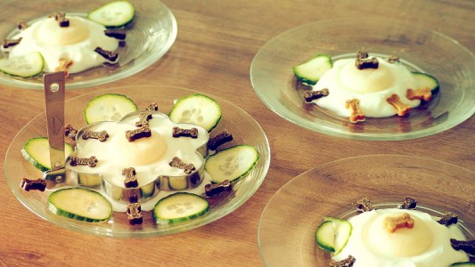 Die Geburtstagsteller für alle Mädels dürfen natürlich nicht fehlen.