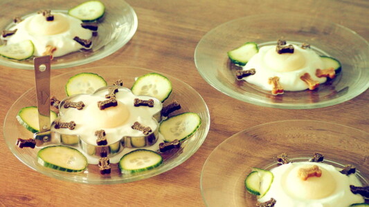 Die Geburtstagsteller für alle Mädels dürfen natürlich nicht fehlen.