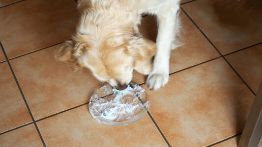 Und es scheint ihr zu schmecken