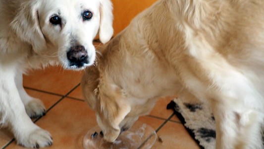 "Die Kelly klaut mir alles weg"