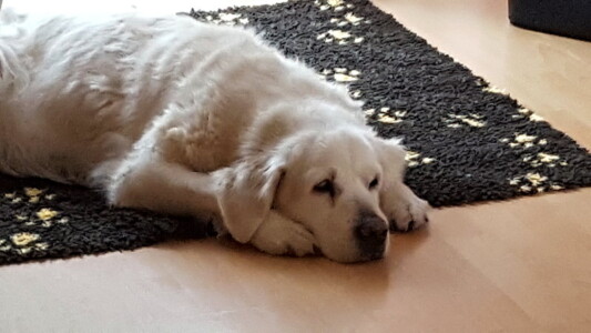 Relaxen im Wohnzimmer