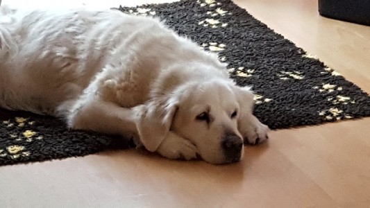 Relaxen im Wohnzimmer