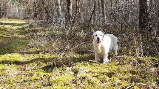an diesem besonderen Tag schien sogar die Sonne