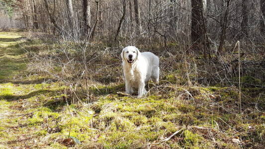 Jula heute an ihrem 13 1/2 ten Geburtstag