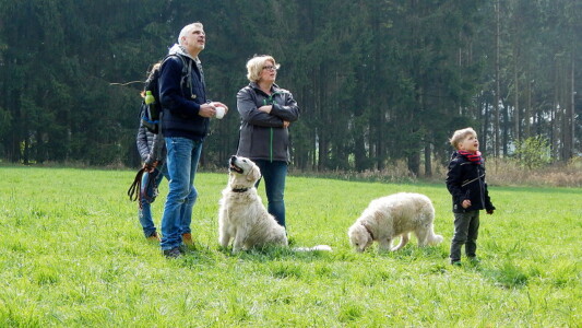 Chris, Jana und Jannes haben wohl etwas am Himmel entdeckt - Jack und Amy interessiert das allerdings gar nicht