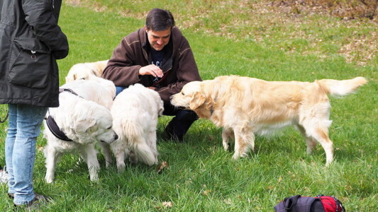 Oliver mit Bailey und weiteren Fellnasen