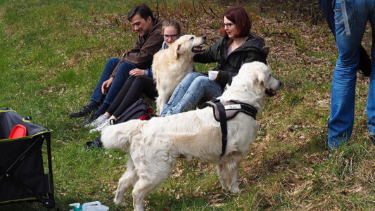 Magic im Hintergrund und Nelly vorne