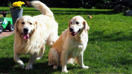 Nahla mit ihrem Sohnemann Mylo