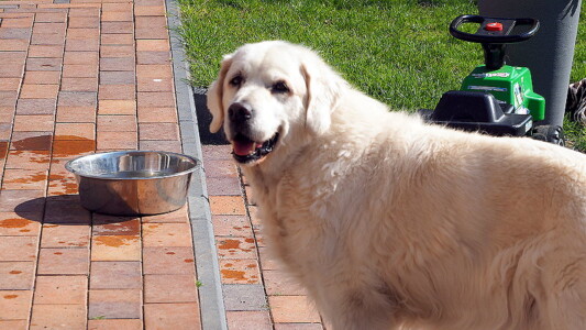 Und nochmal das Julchen