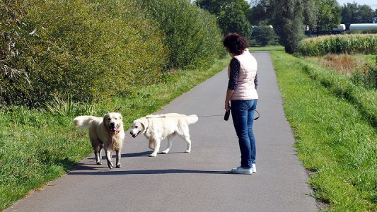 Heike freut sich über Mylos Kurzbesuch im Wassertümpel