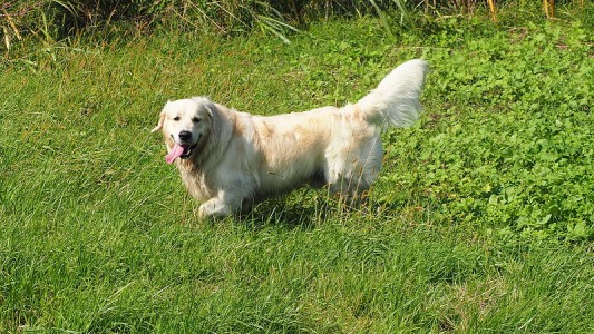 Noch ein paar Bilder von Mylo