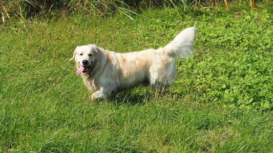 Noch ein paar Bilder von Mylo