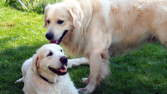 zurück im Garten wurde noch ne Runde gespielt