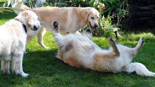 3 Generationen: Oma Kelly, Tochter Nahla und Enkelsohn Mylo