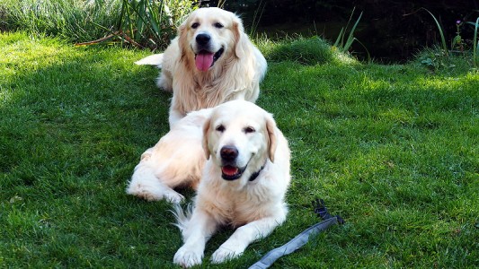 Schön war's mal wieder! Wir freuen uns auf ein Wiedersehen mit euch!