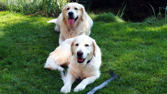 Schön war's mal wieder! Wir freuen uns auf ein Wiedersehen mit euch!