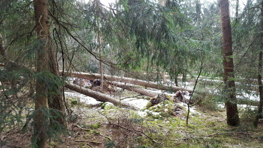 So sieht es hier aus