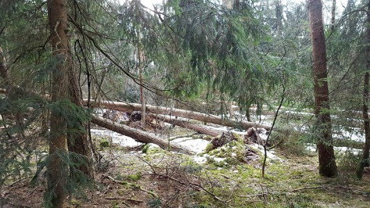 So sieht es hier aus