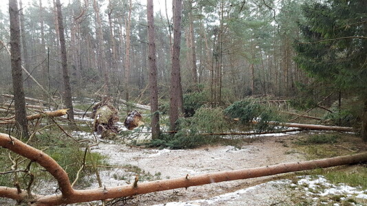 egal wohin man hinschaut