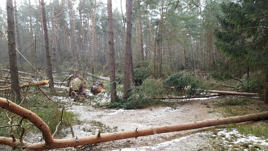 egal wohin man hinschaut