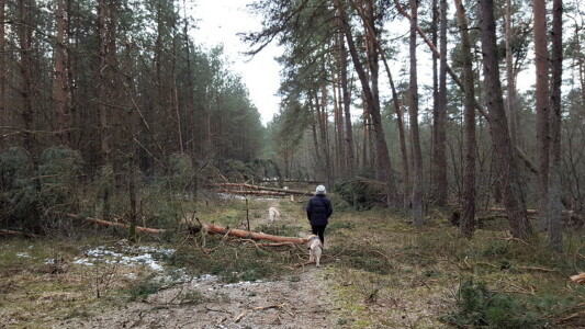 Petra, die Mädels und ich kämpfen uns weiter durch