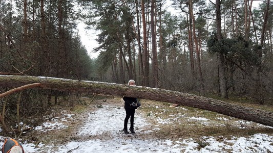 Petra nimmts mit Humor