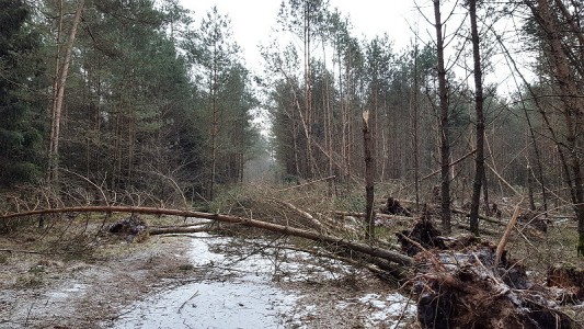 aber es wird einfach nicht besser