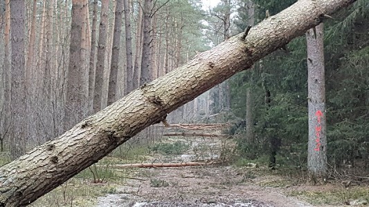 ... wie man hier schön sehen kann