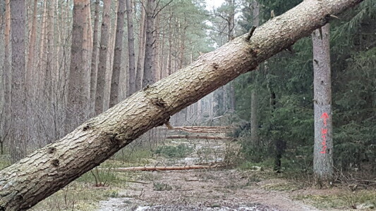 ... wie man hier schön sehen kann