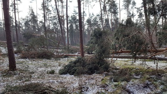 Tja, das müssen wir uns wohl noch eine ganze Zeit gedulden