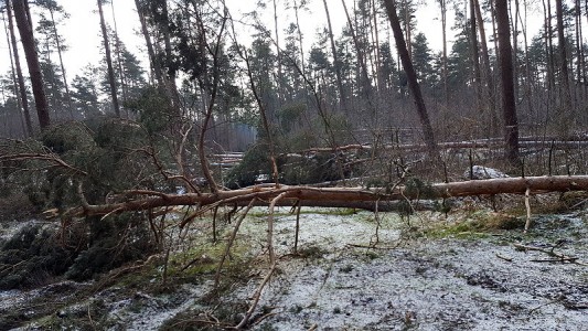 Die Aufräumarbeiten werden wohl noch eine ganze Zeit andauern