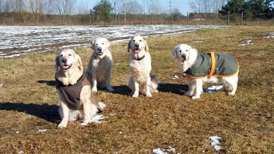 Die nächsten Fotos sind schon ein paar Tage älter. Aber auch hier hatten wir tolles kaltes und sonniges Wetter