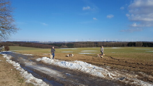 dennoch gab es Autos, die die Sperrung ignorierten