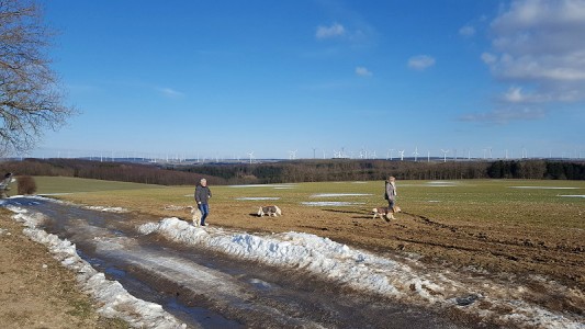 dennoch gab es Autos, die die Sperrung ignorierten