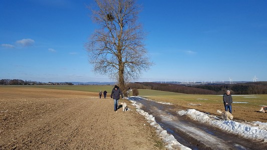 Diese Straße wurde wegen der zu dicken Eisschicht gesperrt ...