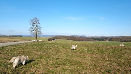 Sooo viel Platz zum Toben