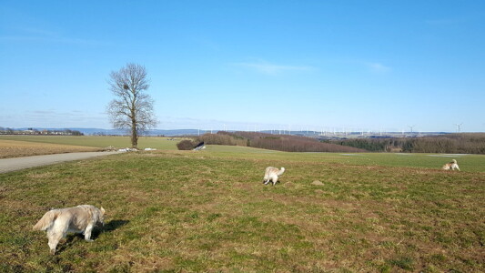 Sooo viel Platz zum Toben